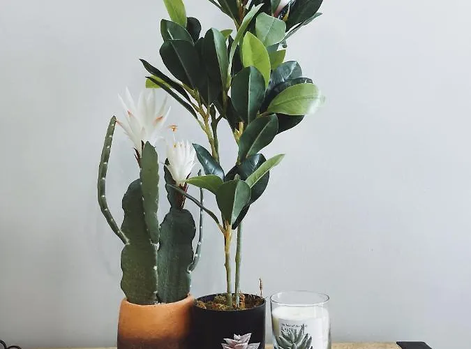 Апартаменты Martalia Namar Centro *